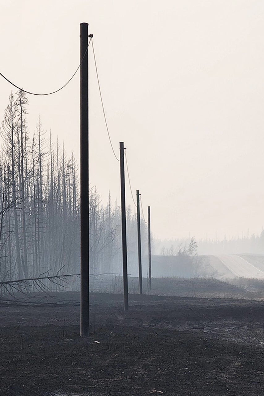 telecommunication poles along highway after wildfire