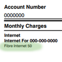 fibre bill