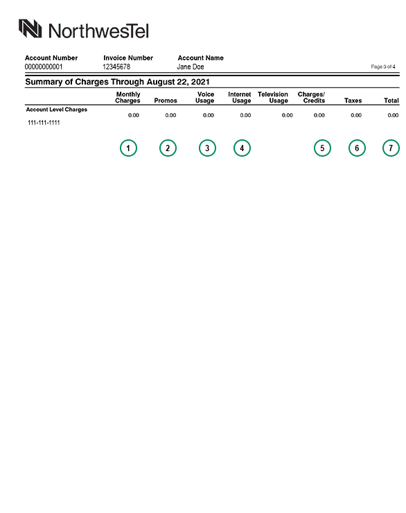 Invoice 3