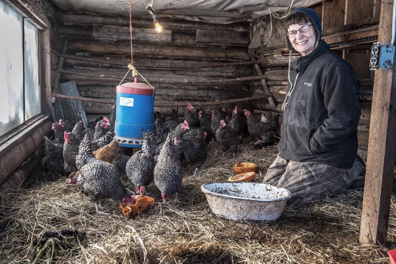Becky Sadler in chicken coop feeding chickens 