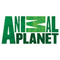 Animal planet logo