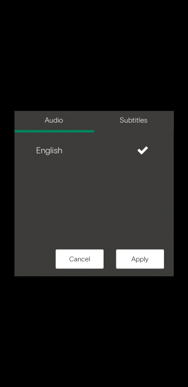 Audio tab showing options