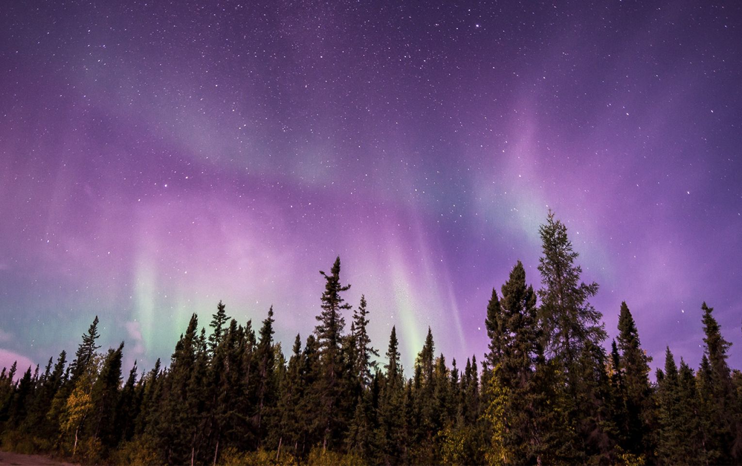 Image of Northern lights with tones of purples and greens