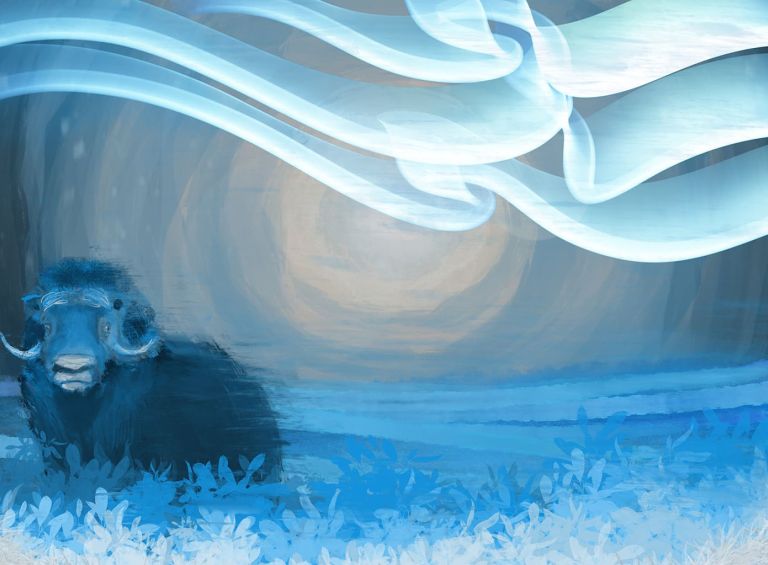 Uumingmak (Muskox) - Digital Art 