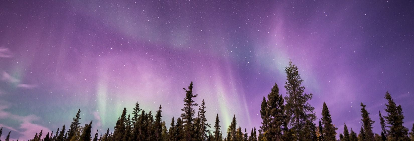 Image of Northern lights with tones of purples and greens